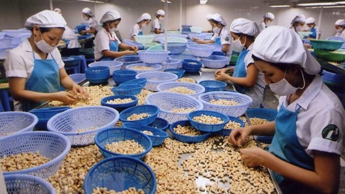 Bản tin thị trường Bắc Âu tháng 1/2026