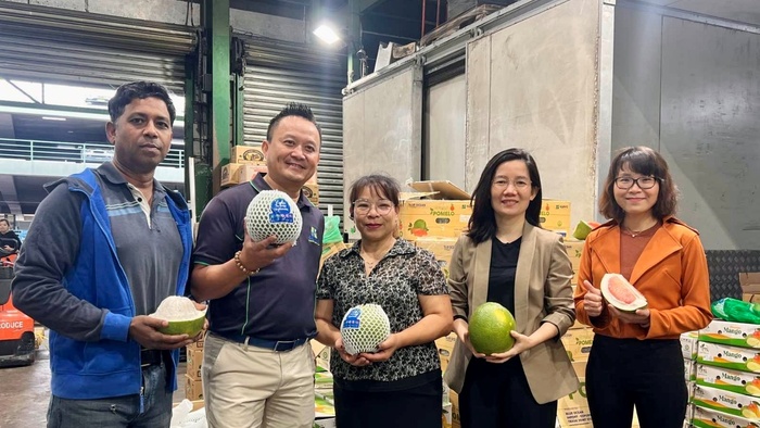 Bưởi Việt Nam chính thức được bán tại Sydney