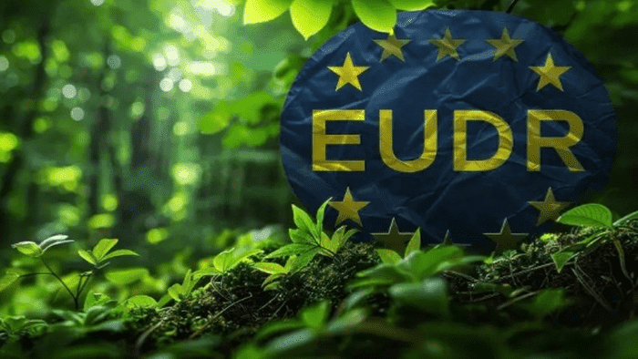 Ủy ban Châu Âu (EC) công bố tài liệu hướng dẫn thực thi EUDR