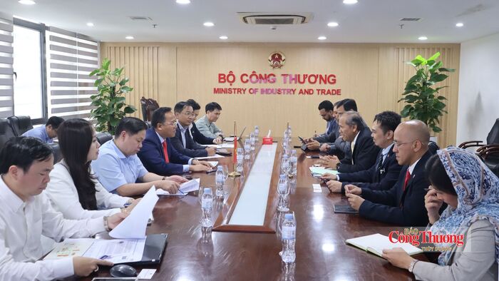 Thứ trưởng Nguyễn Hoàng Long làm việc với Tổng Thư ký Bộ Chuyển dịch Năng lượng và Chuyển đổi Nước Malaysia