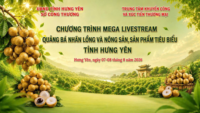Thương mại điện tử tiếp sức tiêu thụ nhãn lồng Hưng Yên