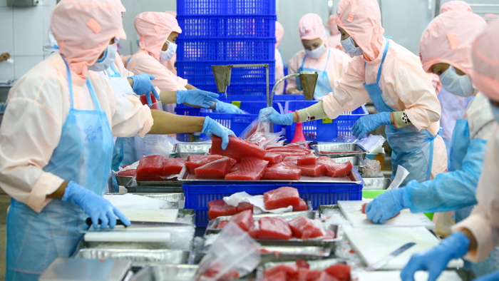Quy định SPS cho nông sản, thực phẩm Việt Nam xuất khẩu sang Italia