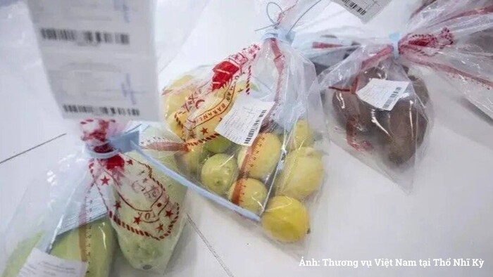 Thổ Nhĩ Kỳ bổ sung cơ quan được kiểm tra chính thức đối với thực phẩm nhập khẩu