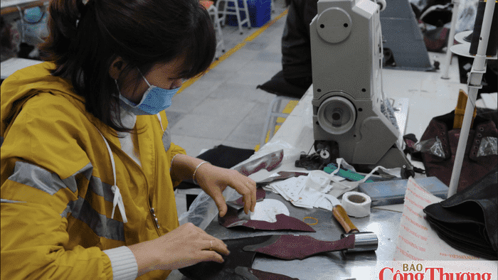 Xúc tiến thương mại: Mở cửa thị trường, nối dài chuỗi cung ứng da giày Việt