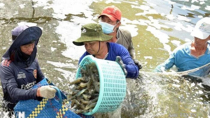 EU gia tăng kiểm soát và cảnh báo một số thực phẩm nhiễm chất cấm