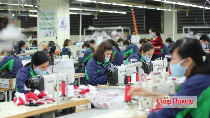 Thiết lập cơ chế cảnh báo sớm, gia tăng cơ hội tiếp cận thị trường RCEP