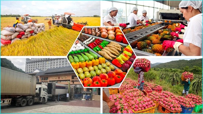 Thực thi hiệu quả các FTA: Động lực thúc đẩy đa dạng hóa thị trường và sản phẩm