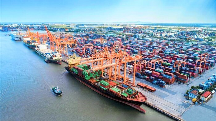 Thúc đẩy kết nối và mở rộng hợp tác đầu tư giữa doanh nghiệp Việt Nam và Hà Lan