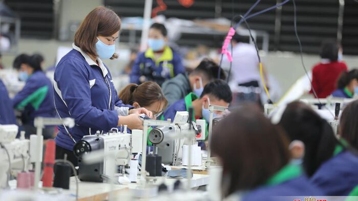 Việt Nam góp sức kết nối doanh nghiệp khối CPTPP, tái cấu trúc nguồn cung