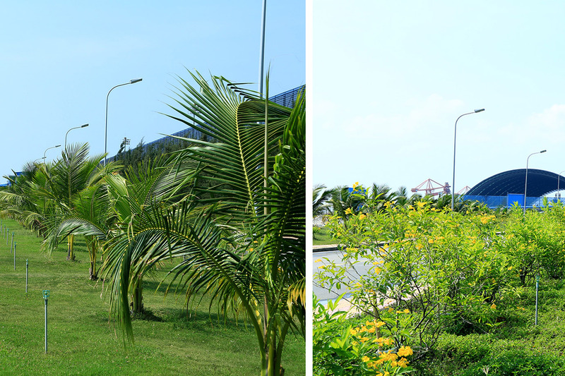 Sắc xanh Trung tâm Điện lực Vĩnh Tân