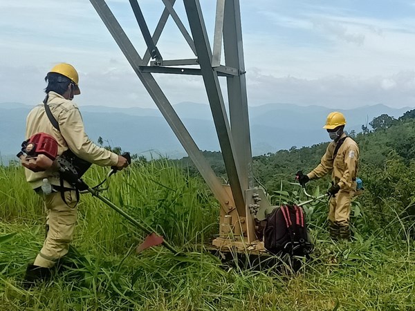 công ty truyền tải điện 3 công ty truyền tải điện 3