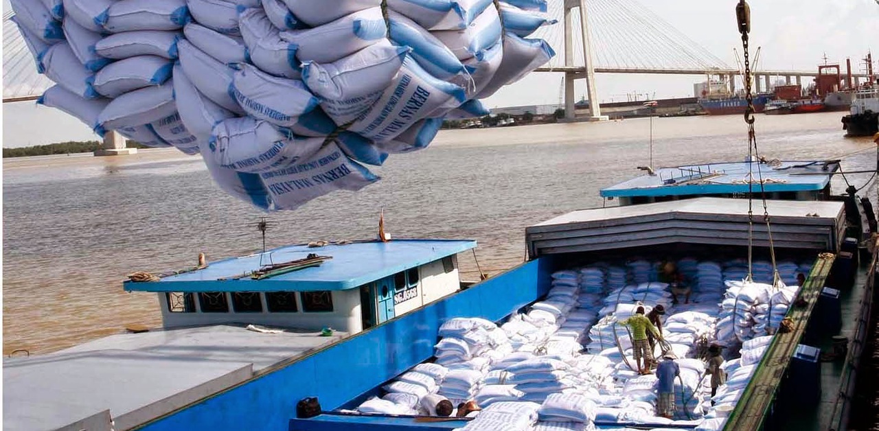 xuất khẩu gạo sang EU xuất khẩu gạo sang EU