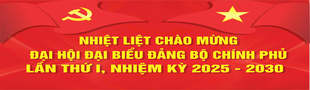 Đại hội Đại biểu Đảng Bộ Chính phủ lần thứ I, nhiệm kỳ 2025-2030